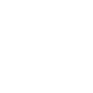 Spin and Bingo 500x500_white